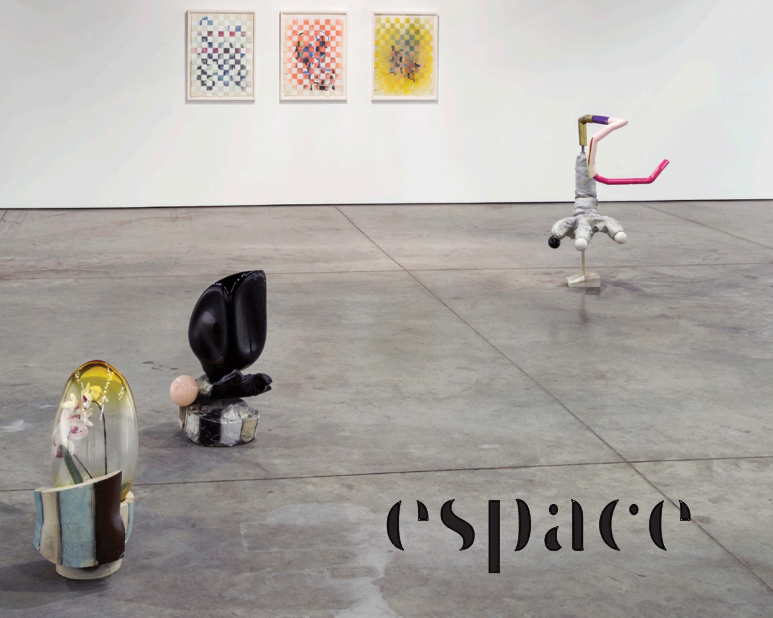 Espace Art Actuel, 2017 | David Armstrong Six: La poiésis exhibée