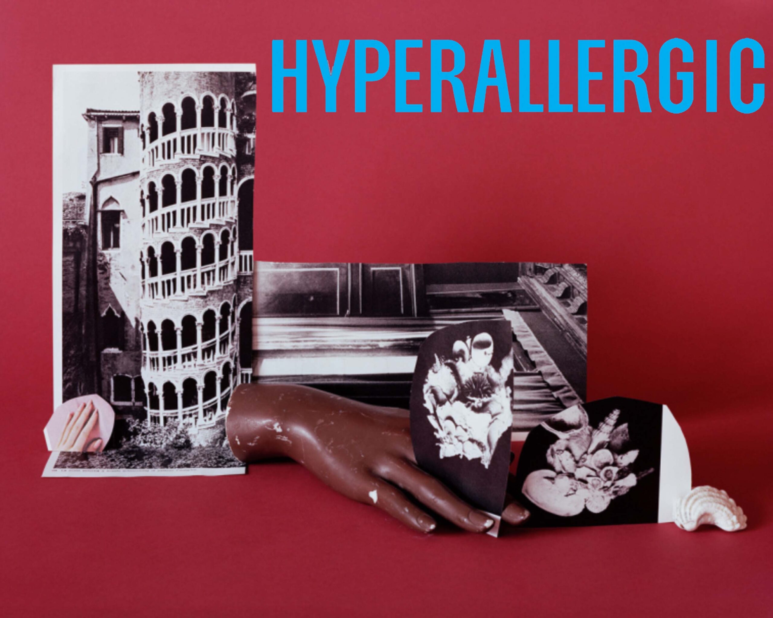 Hyperallergic, 2019 | The Many Lives of Things at Montreal’s Photography Biennial