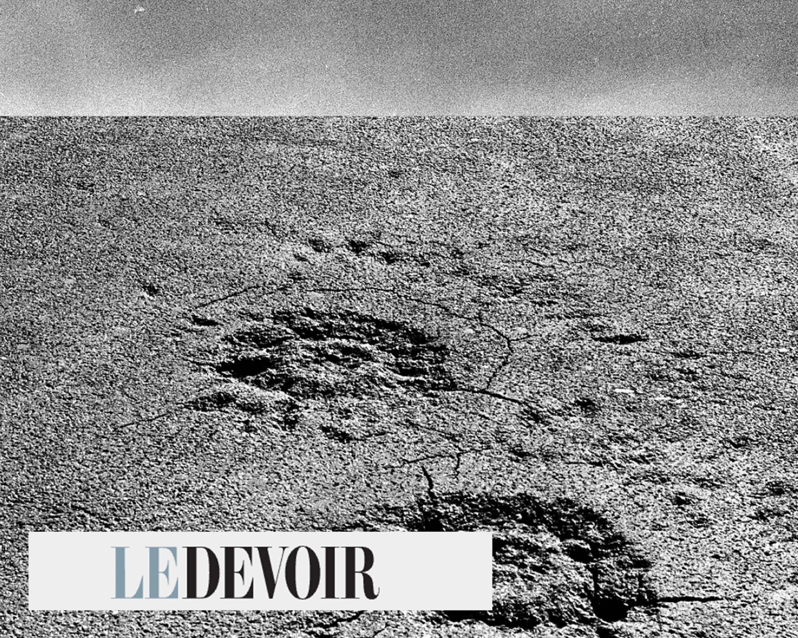 Le Devoir, 2019 | «In Seeing, There Is No Right No Wrong» et «Horizon perdu»: obstruer la vue, voir au-delà