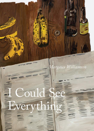 I Could See Everything, 2014. Toronto: Coach House Press.