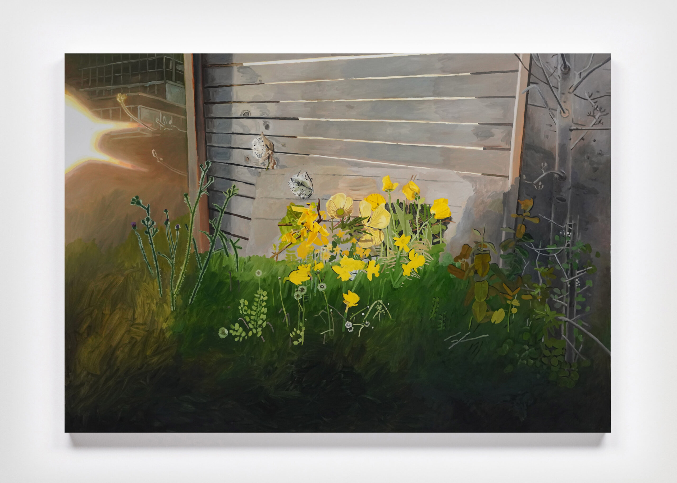 Yellow Flowers