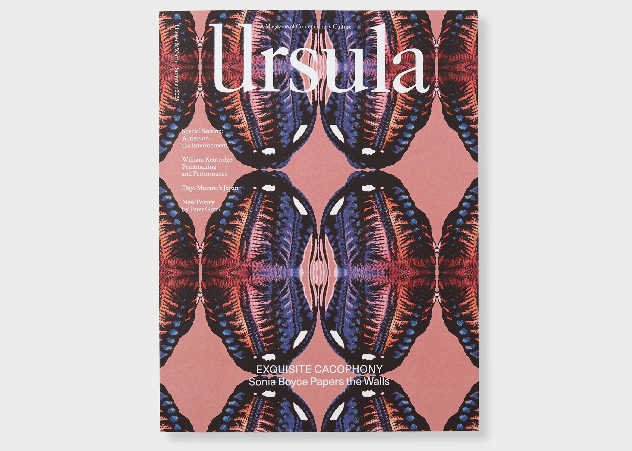 Ursula, Issue 13, 2025 | (Maybe Prologue) by Margaux Williamson