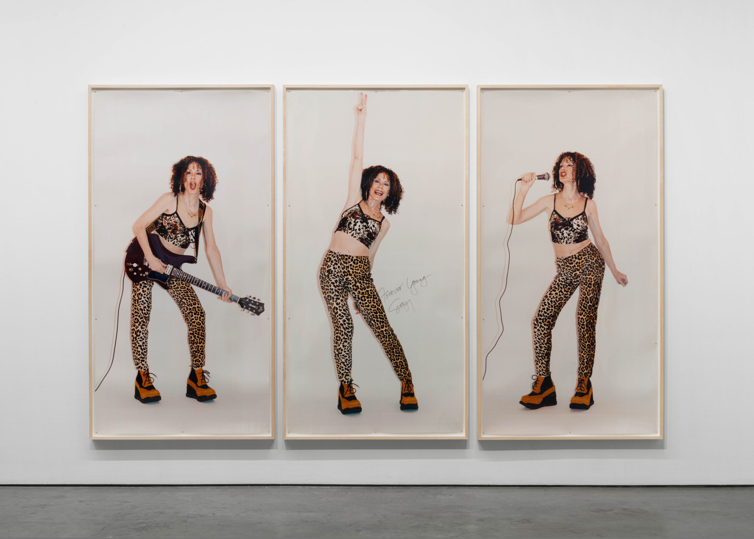 Suzy Lake, Distilling Resistance