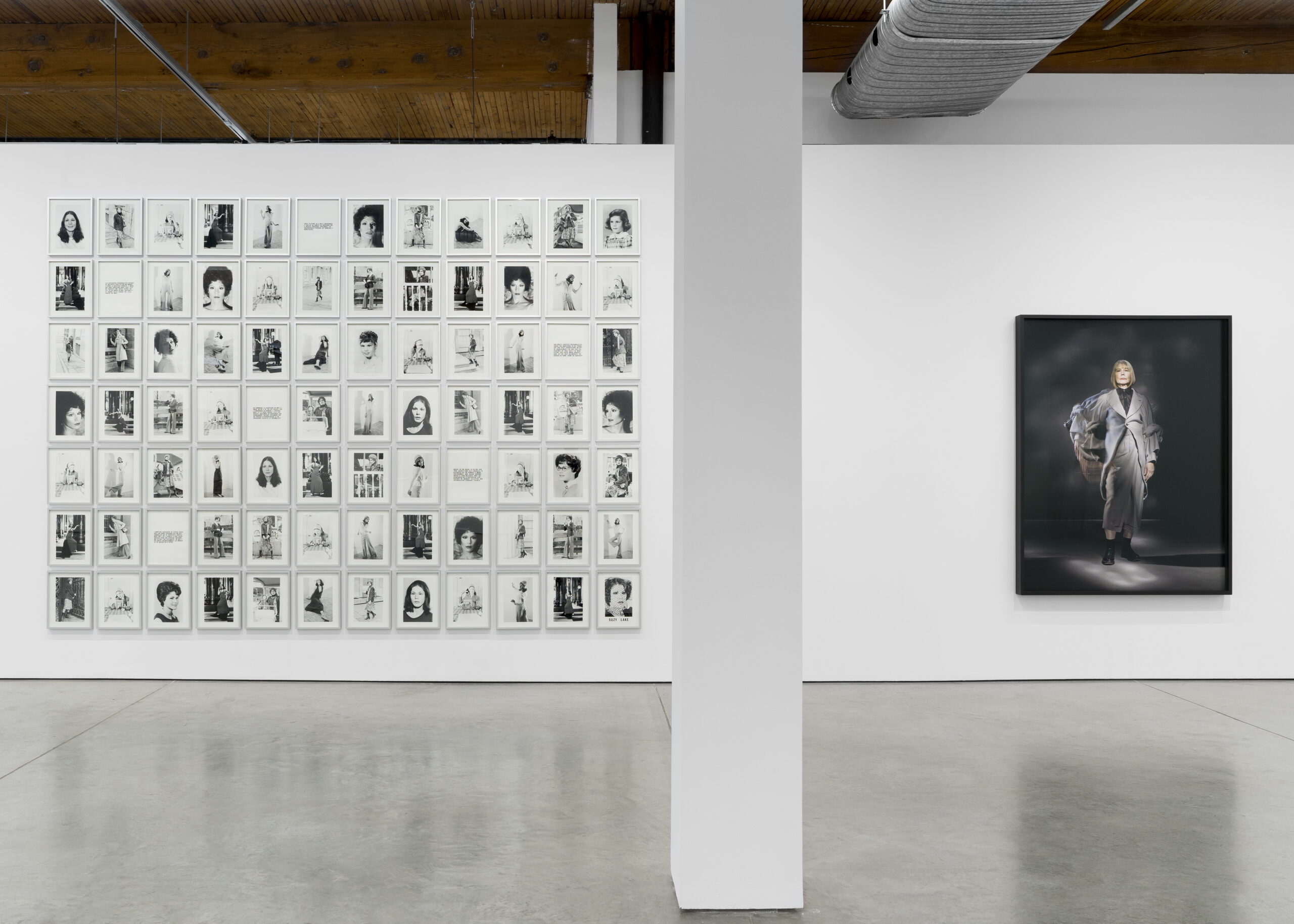 Suzy Lake, Distilling Resistance